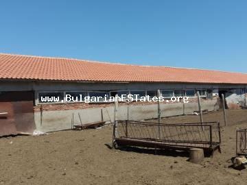 Bauernhof zum Verkauf im Dorf Zimnitsa in Bulgarien, 90 km von Bourgas und 10 km von der Stadt Yambol entfernt.